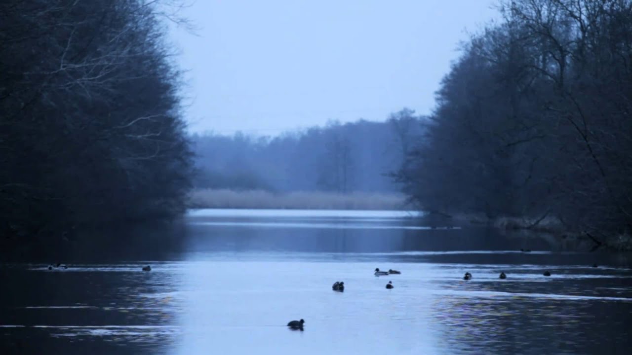 Eider, Steinfurter Mühle und Strohbrück