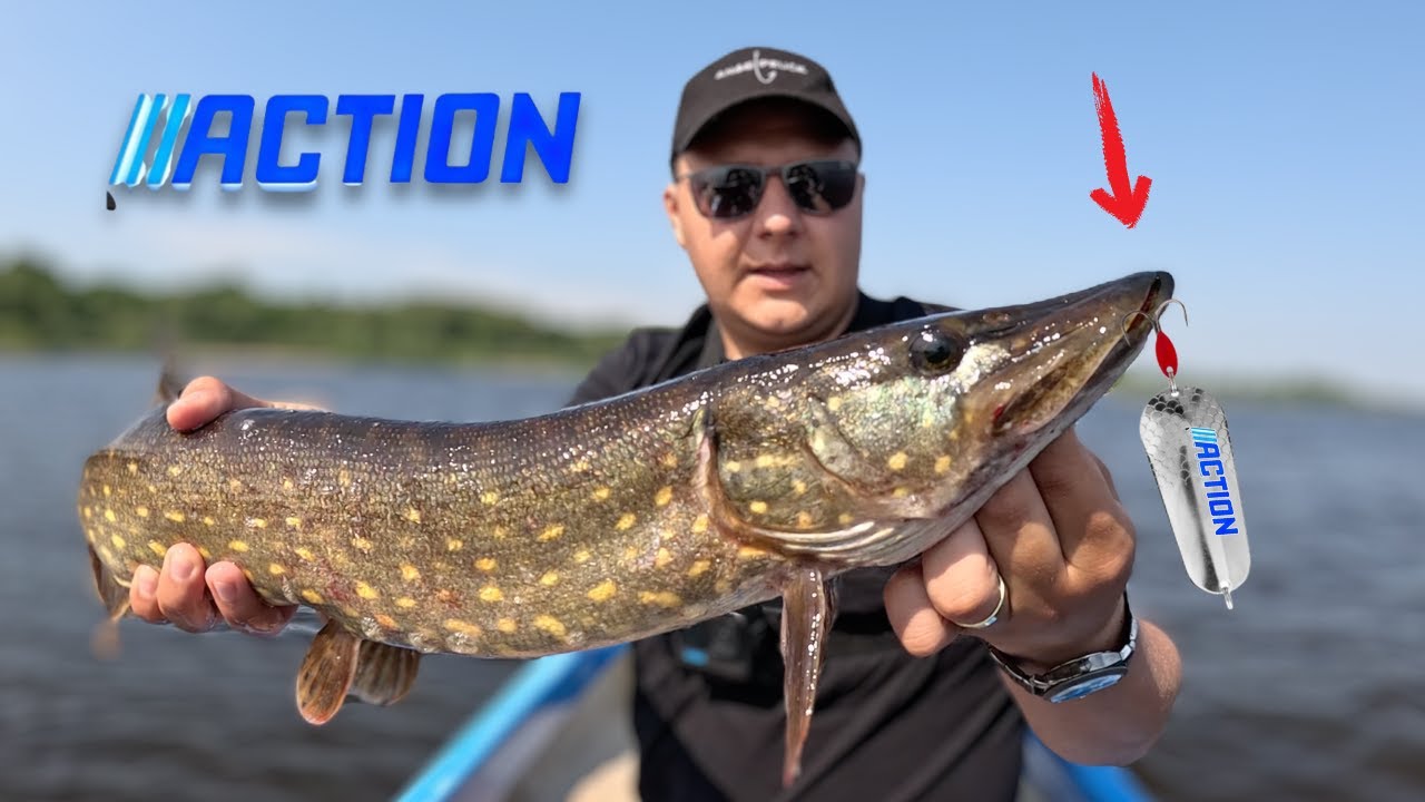 Was taugen BILLIG Köder von ACTION | Ein Angelduell im Herzen Schwedens🎣🏆