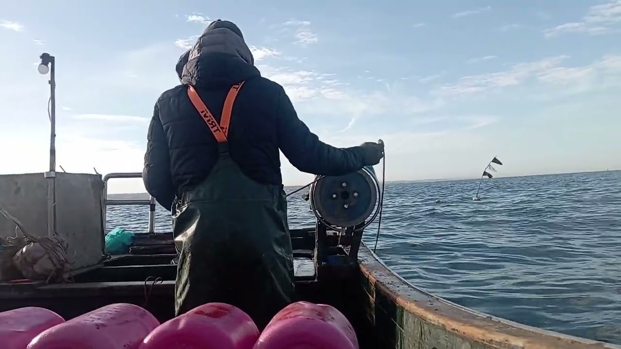 طريقة صيد الاخطبوط 01/01/2025