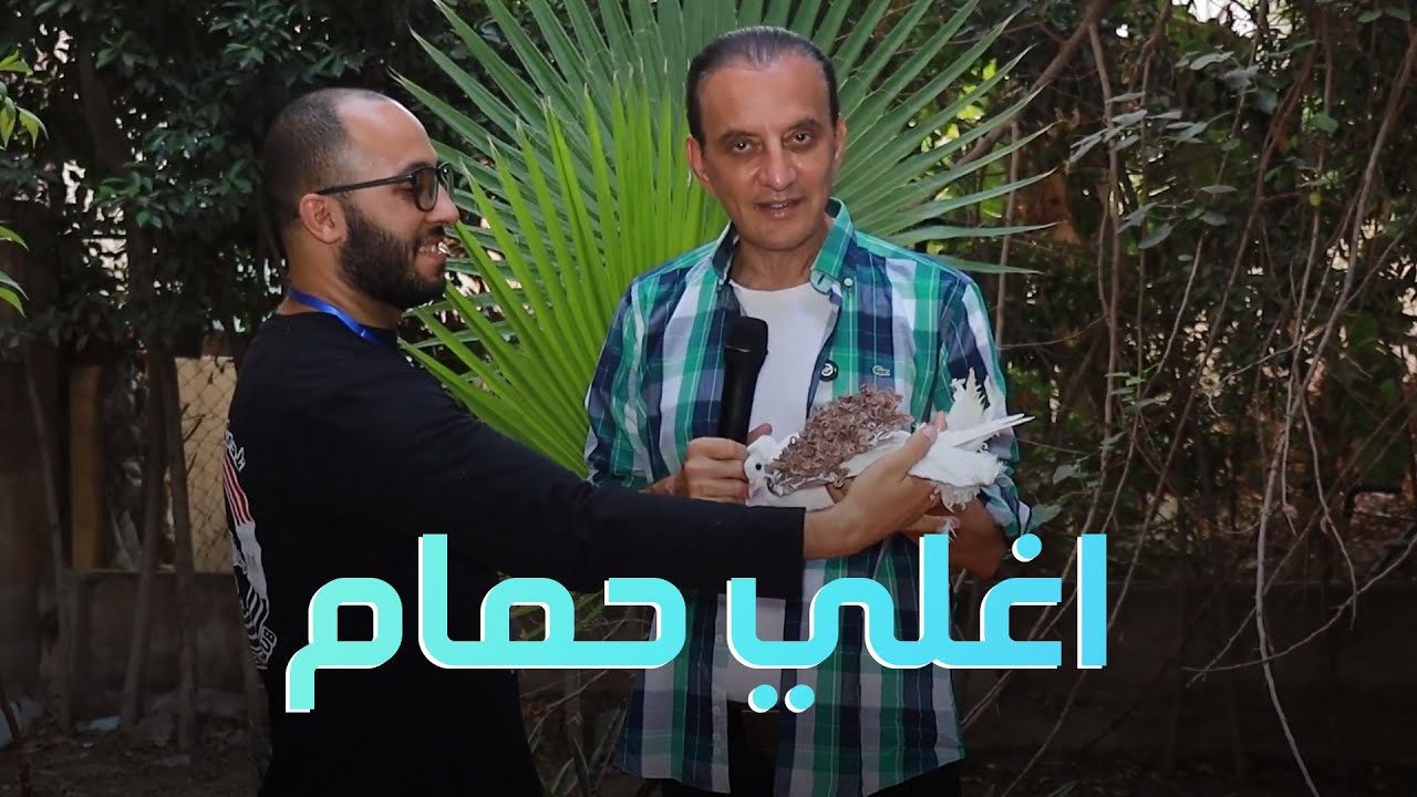 اغلي حمام واجمل حمام سبحان الله 🕊️🤍