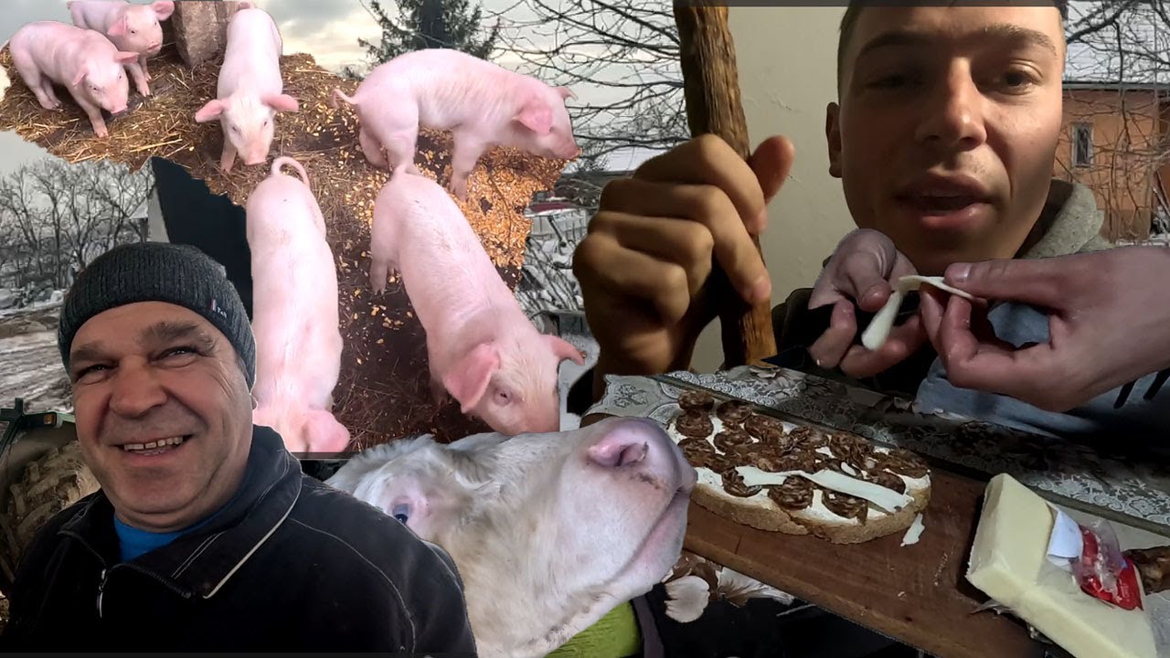NAPI VLOG ! Apja Quadozott Részegen? Házi Kolbászból Melegszendvics !