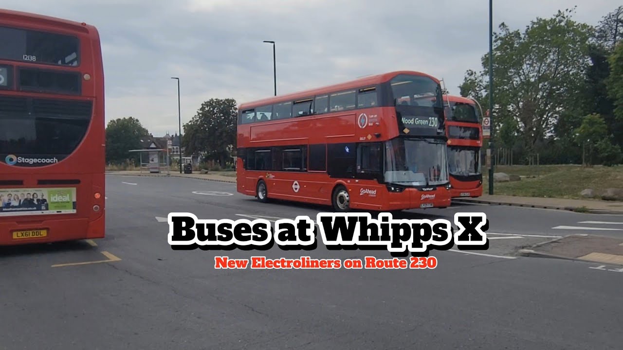 Buses at Whipps Cross