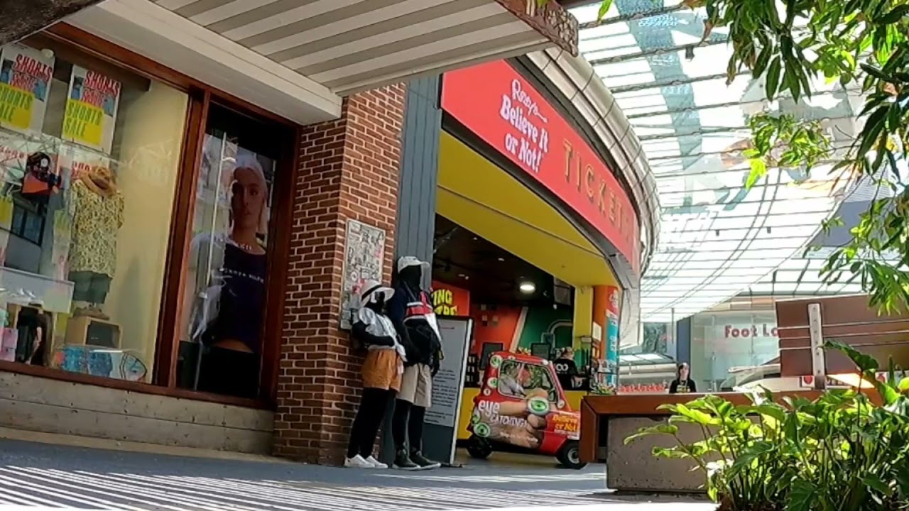 #1Voted #1 Best! Mannequin Prank Gold Coast Australia