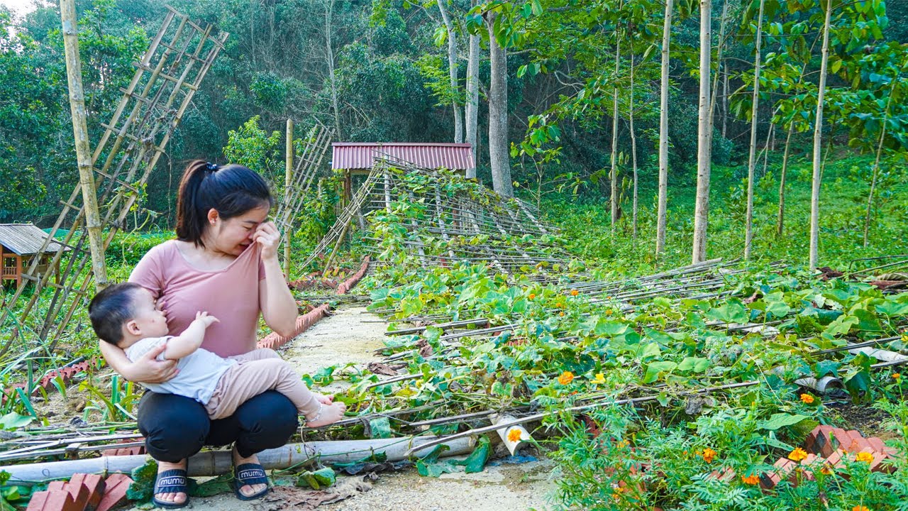 Strong storm destroys farm: clean up the farm after the storm - HIEN single mom take care children