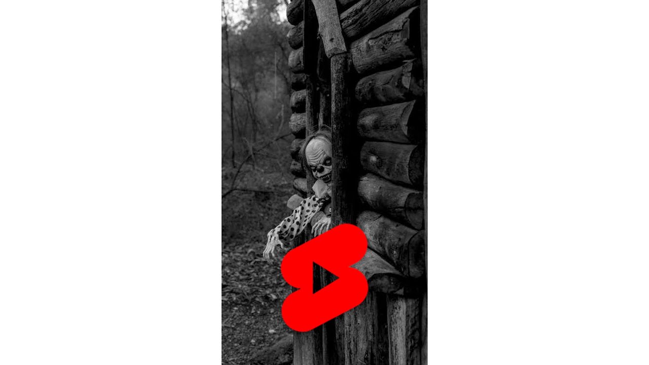 Ir al BOSQUE SOLO es una MALA IDEA - AskReddit ESPAÑOL 