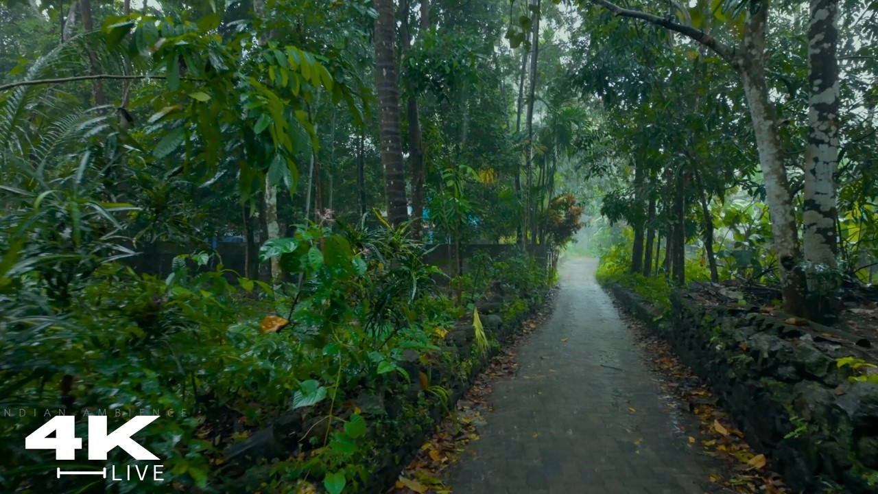 Peaceful Village in Heavy Rain 🌧️ | Relaxing ASMR Walk for Sleep & Focus | Compilation Walks
