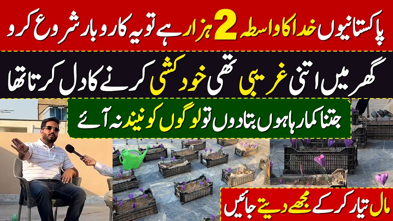Home Based Business in Pakistan 2026 | Low Investment Idea
