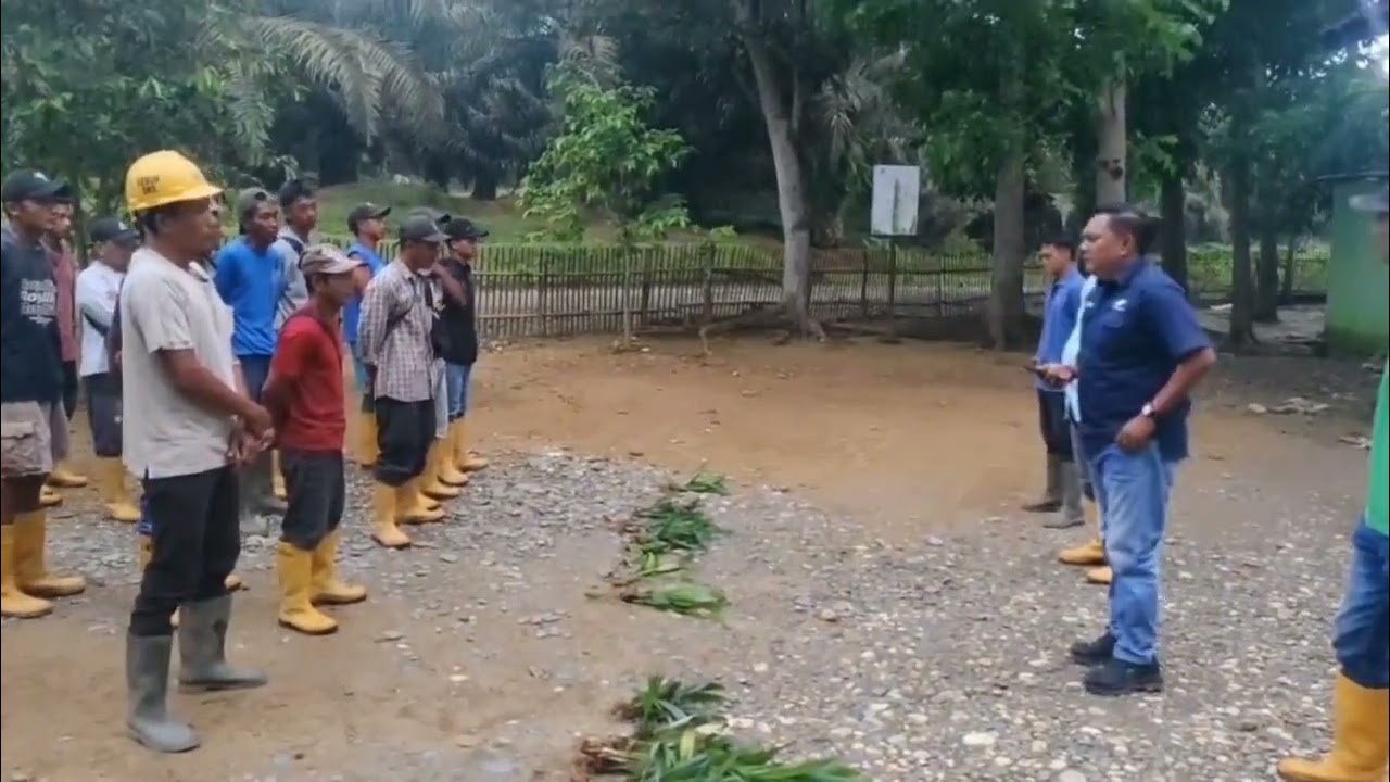 Budaya respectful work place policy