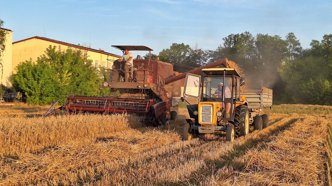 🔥 Polskie żniwa 2025 🔥 Bizon Z056 & Ursus c360 3P 🔥 Agro Bracia 🔥
