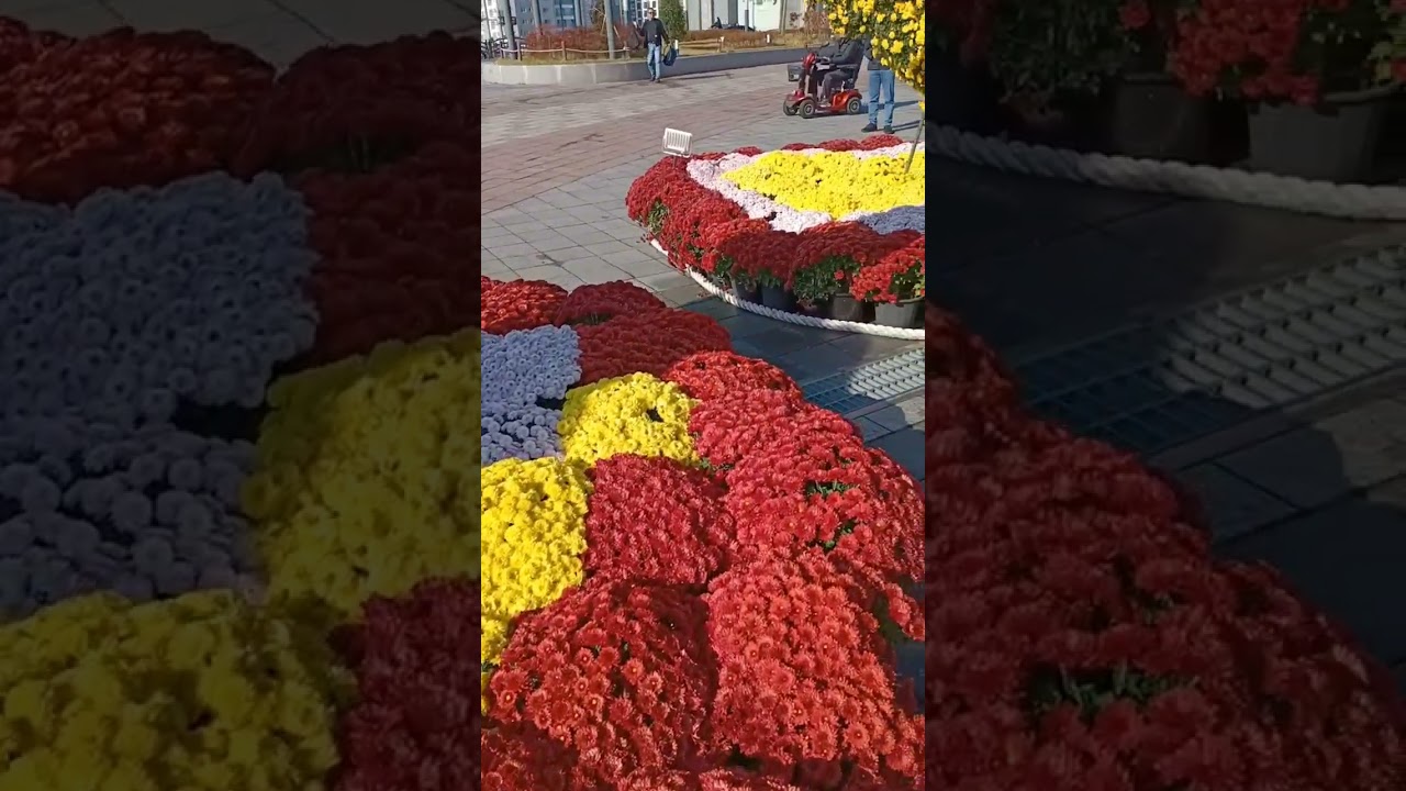autumn in busan