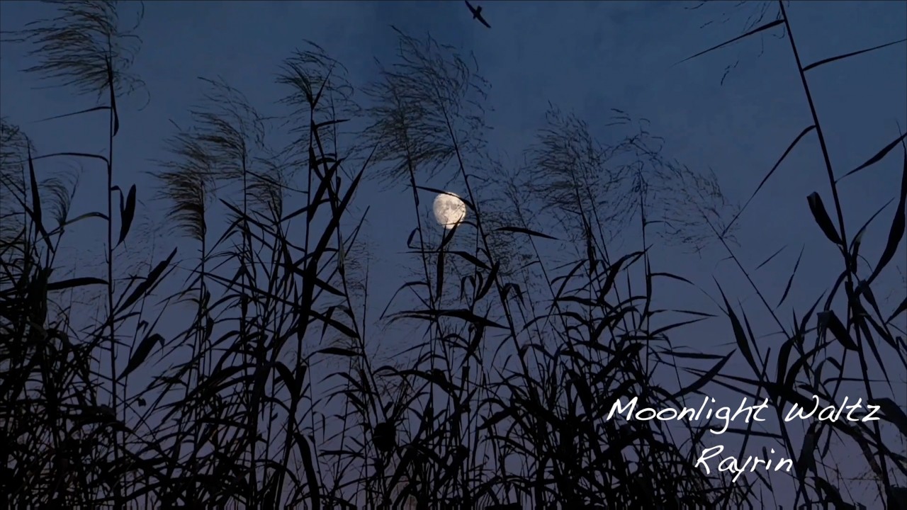 Instrumental l Moonlight waltz [달빛 왈츠 - 레이린]