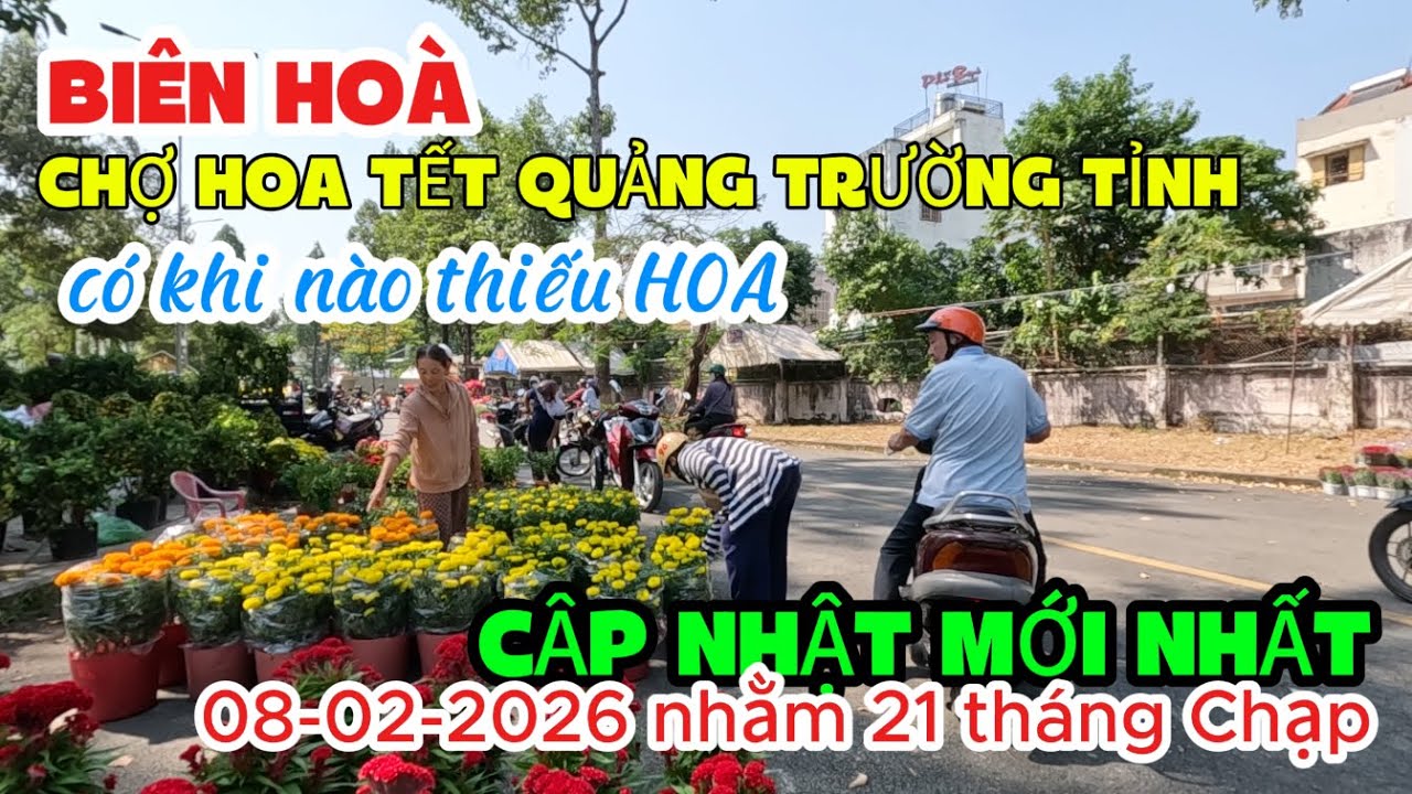 CẬP NHẬT MỚI NHẤT HOA TẾT BIÊN HOÀ 2026 CHỢ HOA QUẢNG TRƯỜNG TỈNH - HOA ÍT HƠN NĂM TRƯỚC RẤT NHIỀU