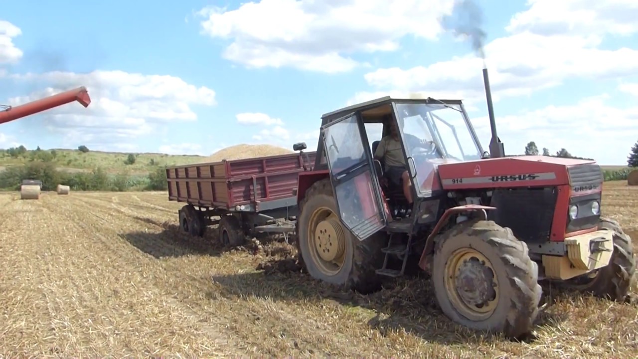 |Wtopa Ursusa 914|Mokre Żniwa 2017 w Morakowie|Nowy ursus c-3110|2x Ursus c-360|Bizon ZO56|