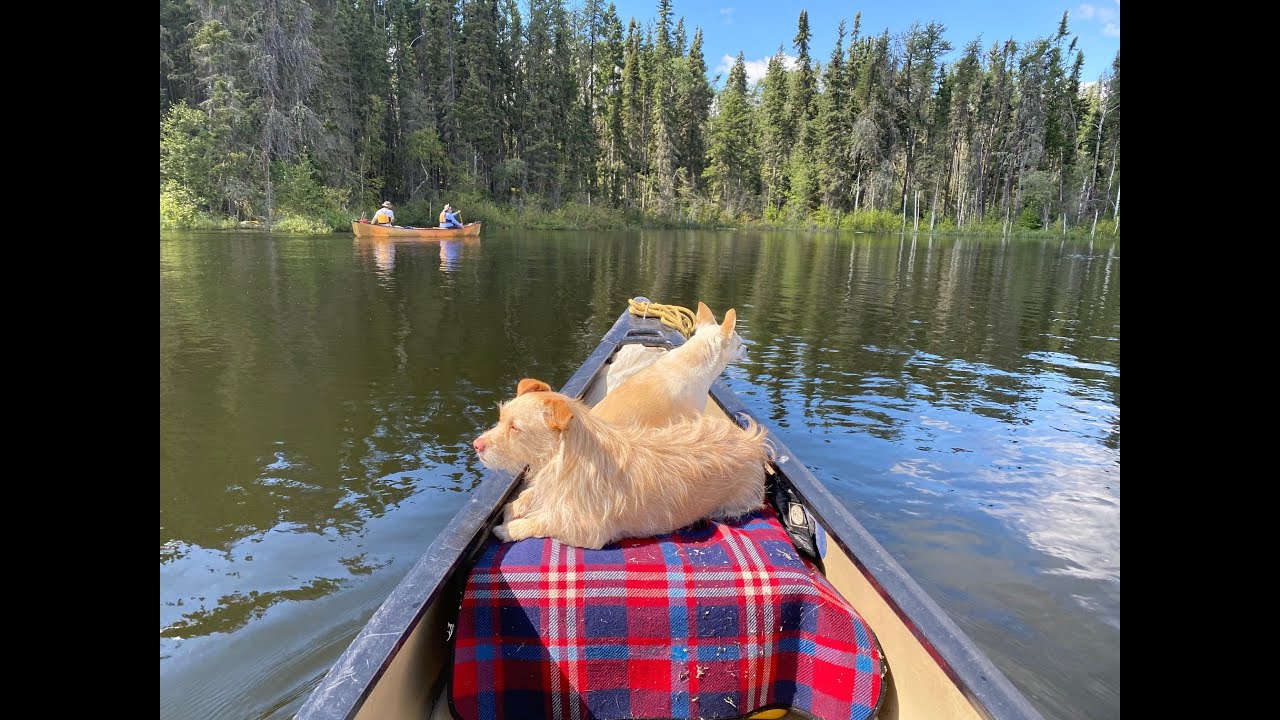 Wilderness Canoe Trip Lac la Ronge, Saskatchewan
