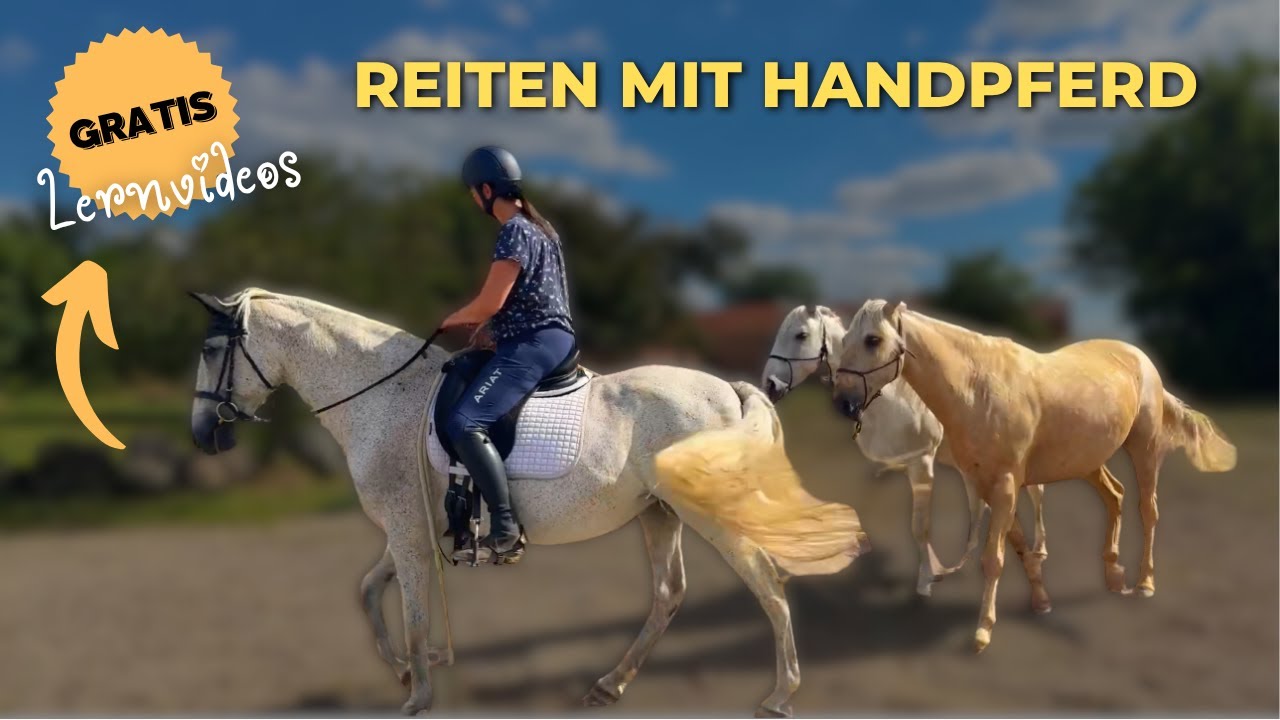 Reiten mit Handpferd 🐴 Schritt f&uuml;r Schritt erkl&auml;rt - Vorschau