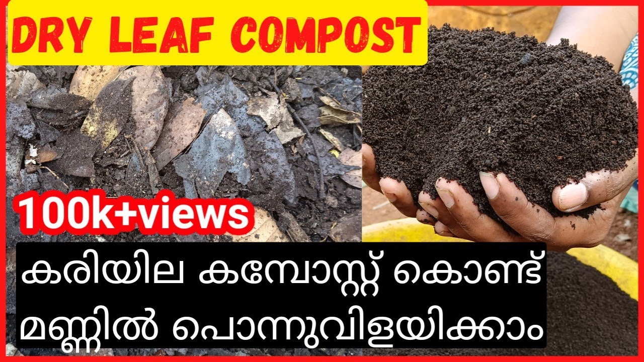 ഒരു ചിലവുമില്ലാതെ കരിയില കമ്പോസ്റ്റ് ഉണ്ടാക്കാം || How to make Dry leaf compost @VidhasWorld