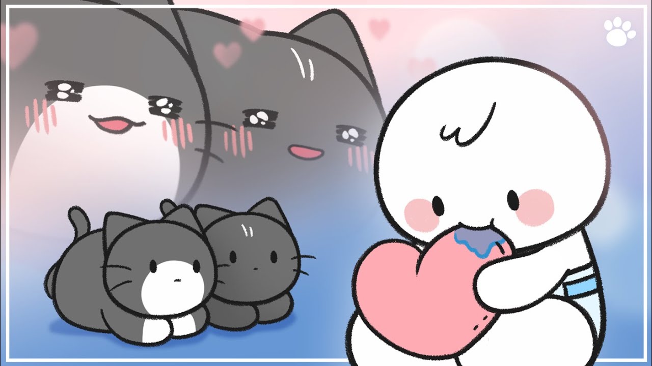 고양이가 집사를 졸졸 따라다니는 이유 5가지