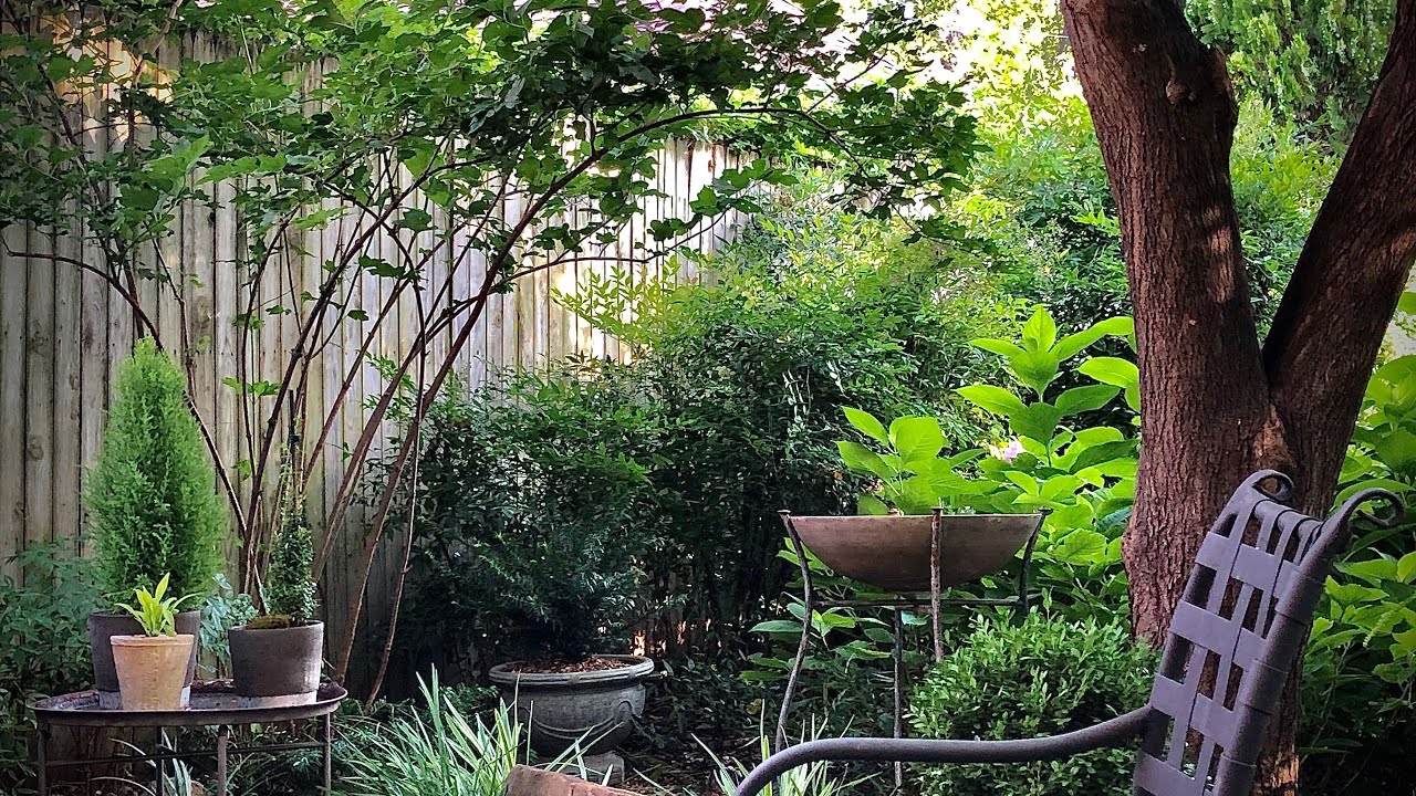 Pruning Shrubs and Garden Cleanup