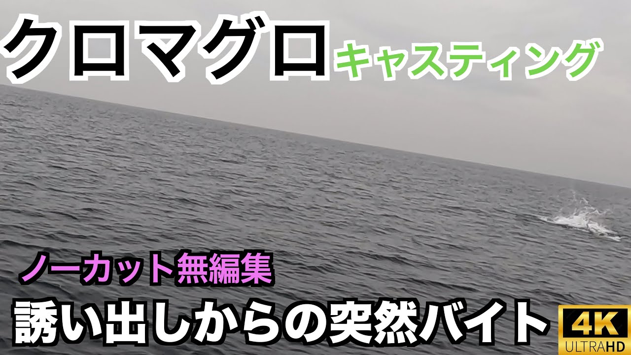 【ノーカット】マグロキャスティングで突然の水面爆発！？【誘い出し】