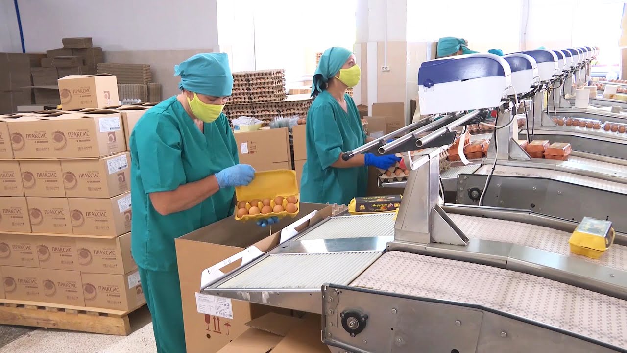 Солигорская птицефабрика расширяет границы сбыта