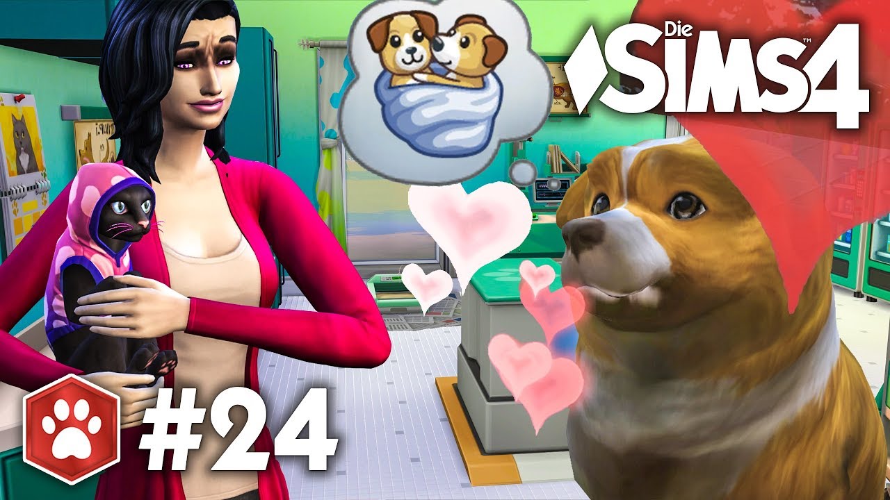 Schwanger oder krank? | Let's Play Die Sims 4 Hunde & Katzen #24