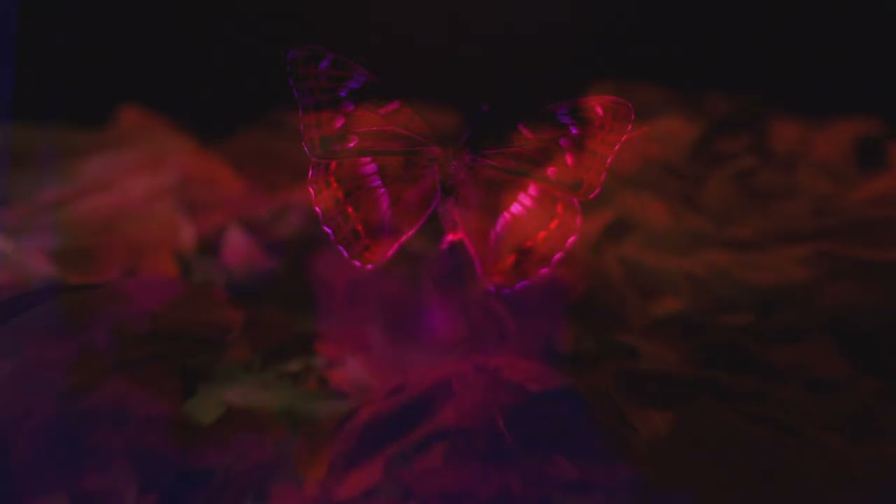 herbarium   the movie 1080p3
