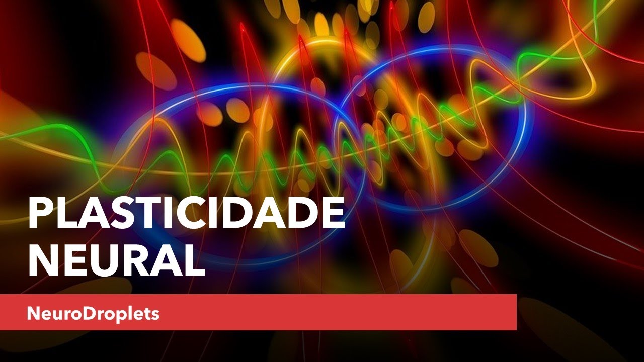 Plasticidade Neural. [Sistema nervoso]