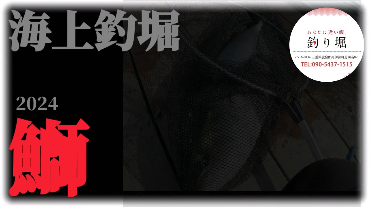海上釣堀 Episode15 【あなたに逢い鯛釣り堀】鰤 編