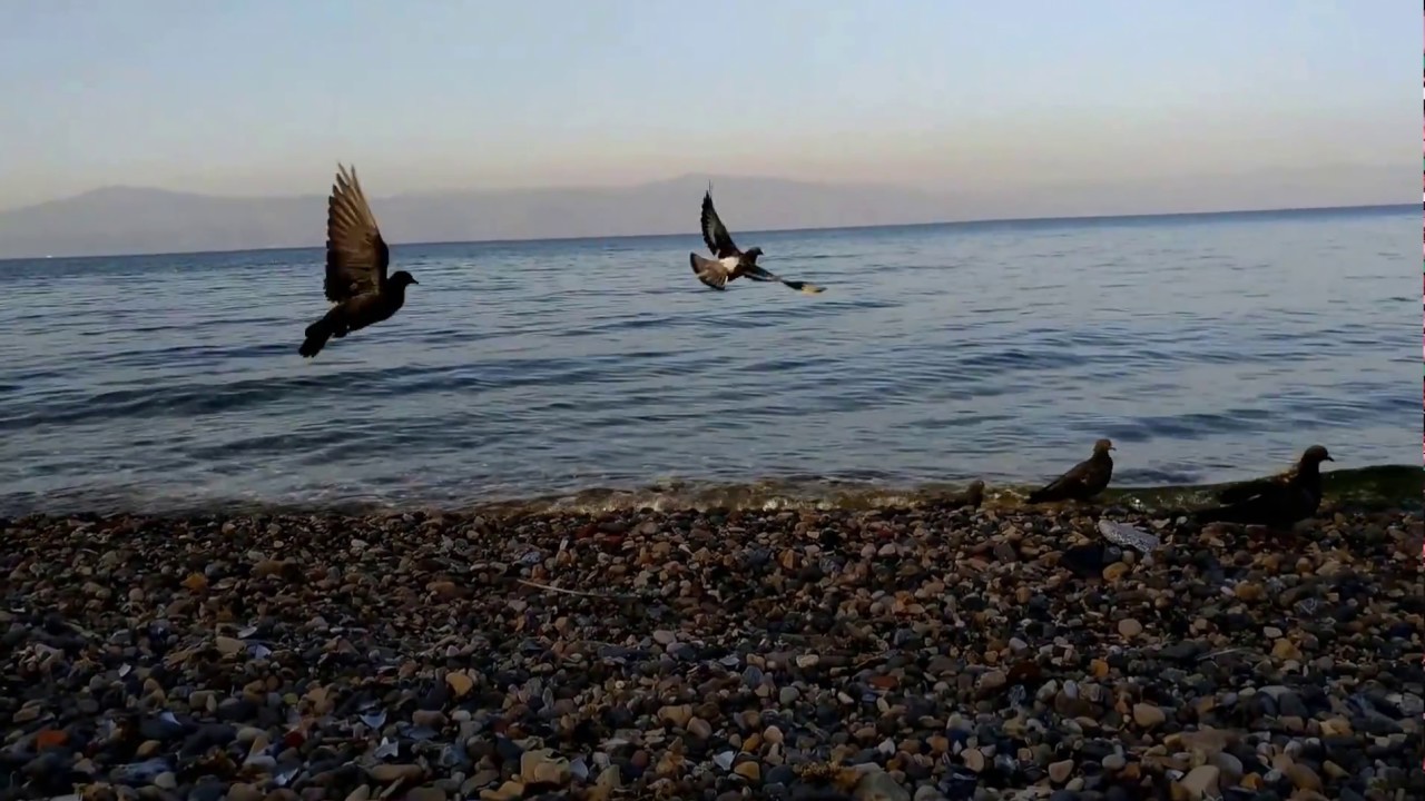 İstanbul İDO Yenikapı Feribotu İle Güzelyalı Gezisi