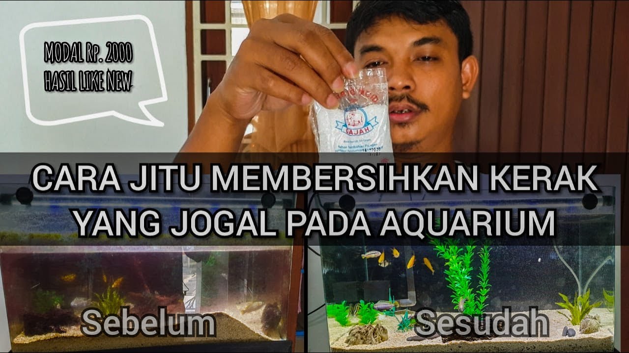 CARA MEMBERSIHKAN AQUARIUM KERAK TAHUNAN MENJADI KINCLONG LIKE NEW 100% TANPA RIBET