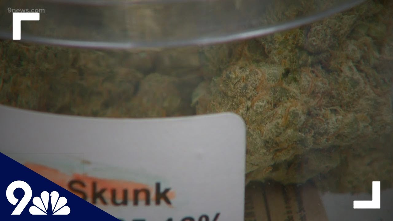 Denver pushes for social equity in marijuana industry
