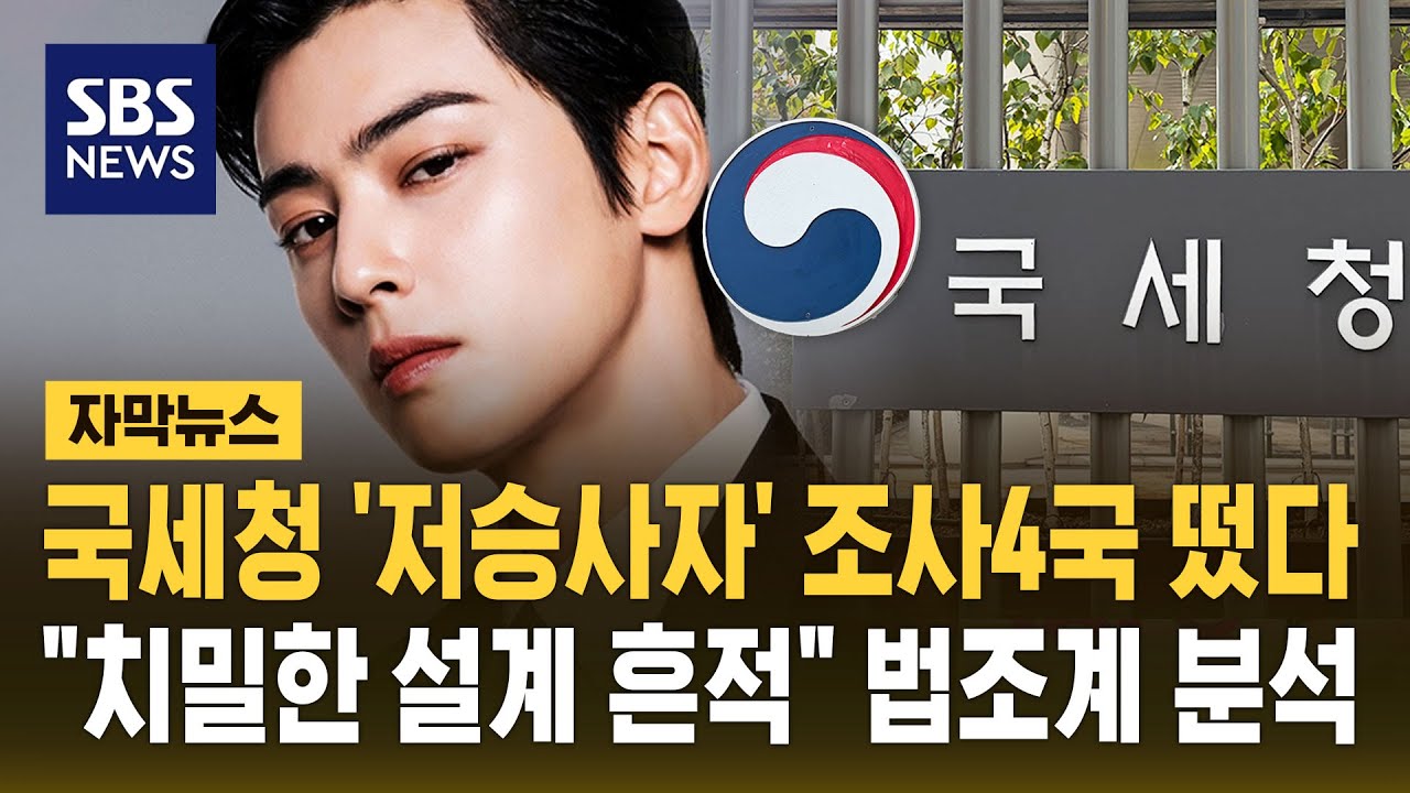 차은우 탈세 의혹에 '저승사자' 등판…