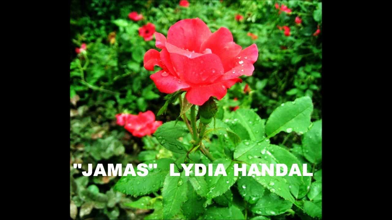 JAMAS - Lydia Handal - Trio Los Duendes. Música de Honduras!