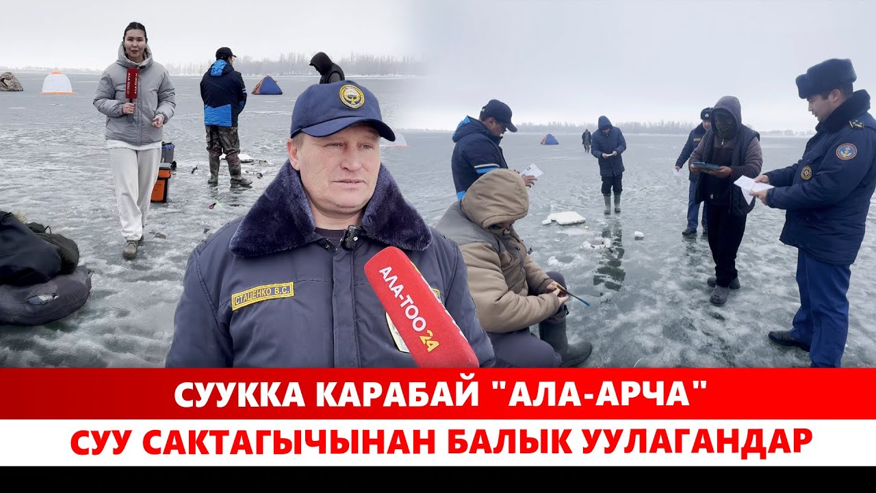 Суукка карабай 