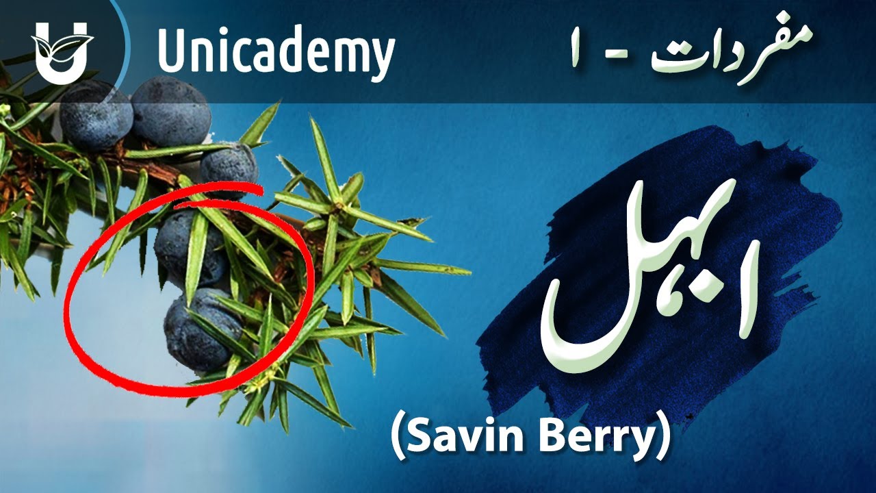 Abhal (Savin Berry) | ابہل
