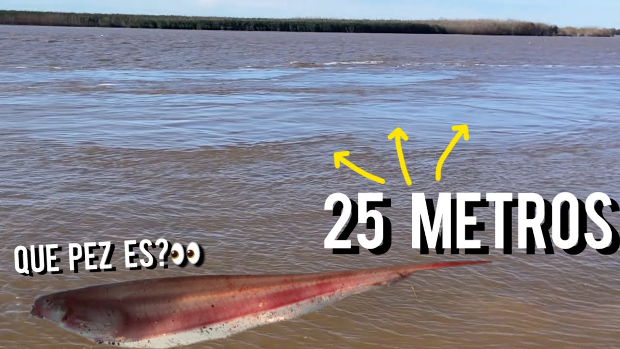 pescamos en estos pozos muy profundos🤯, pesca y cocina🎣🥘