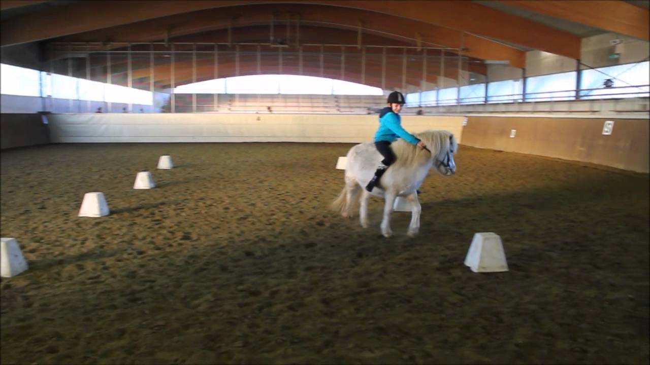 Silvester 14-15 im Ponypark