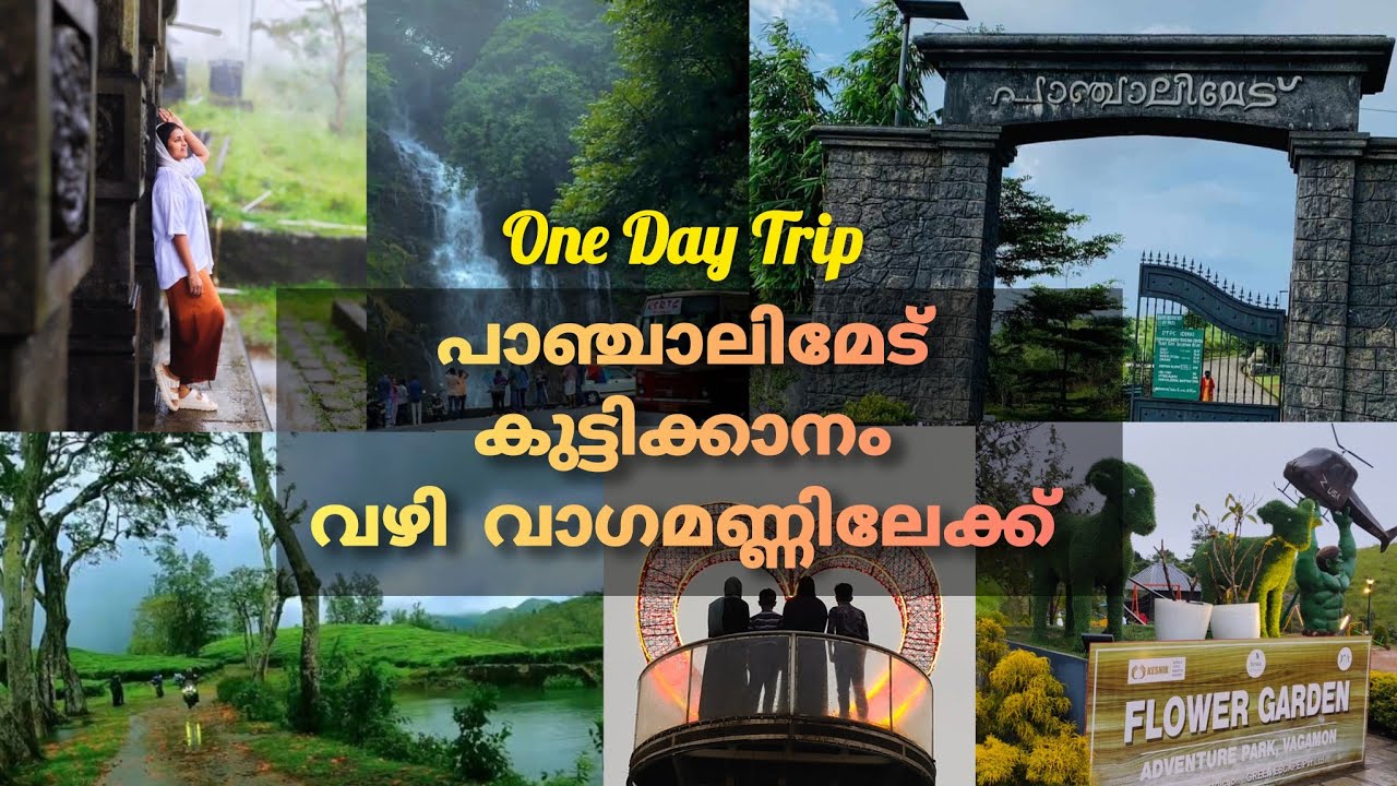 പാഞ്ചാലിമേട് കുട്ടിക്കാനം വഴി വാഗമണ്ണിലേക്ക്📍One Day Trip🍃vagamon flowergarden💫അറിയേണ്ടതെല്ലാം😊
