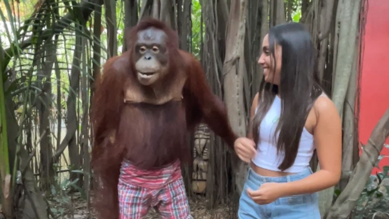 Charming monkey lets his charisma shine through his goofy antics while posing for photos || WooGlobe