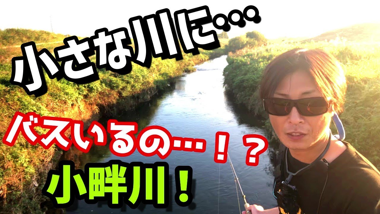 【小畔川】埼玉の小さな川でバス釣り！！
