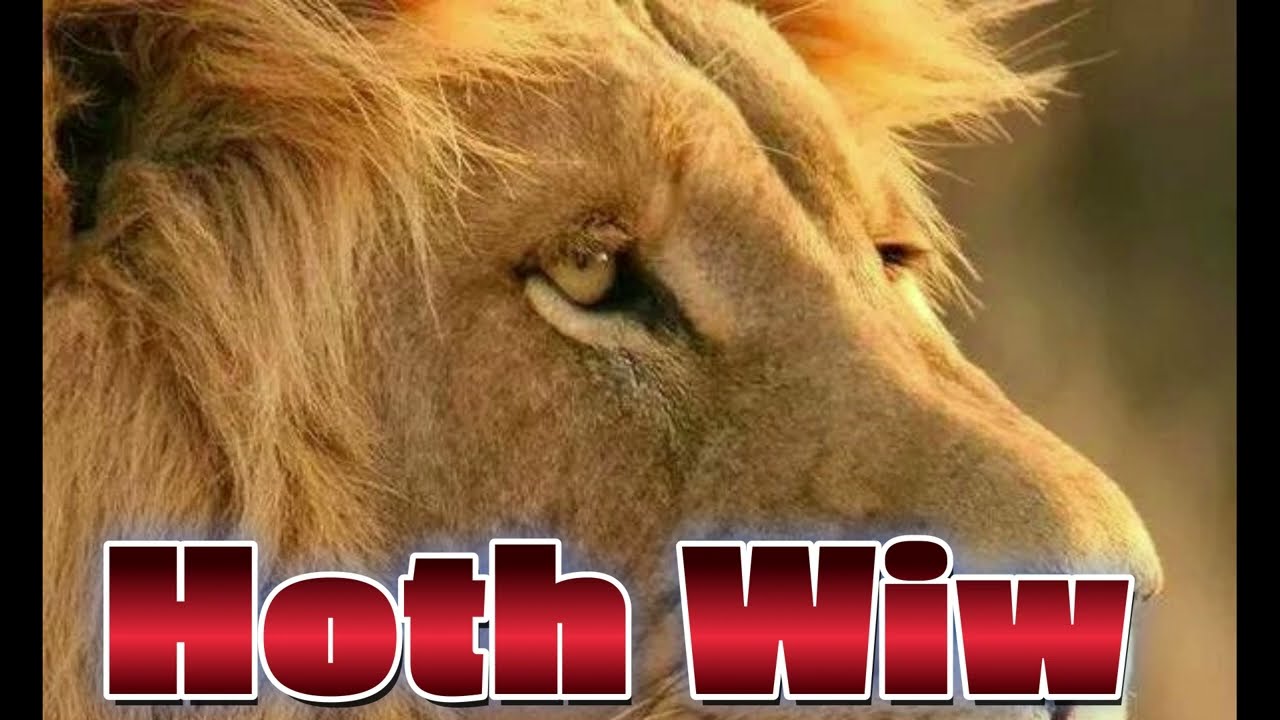 Hoth wiw