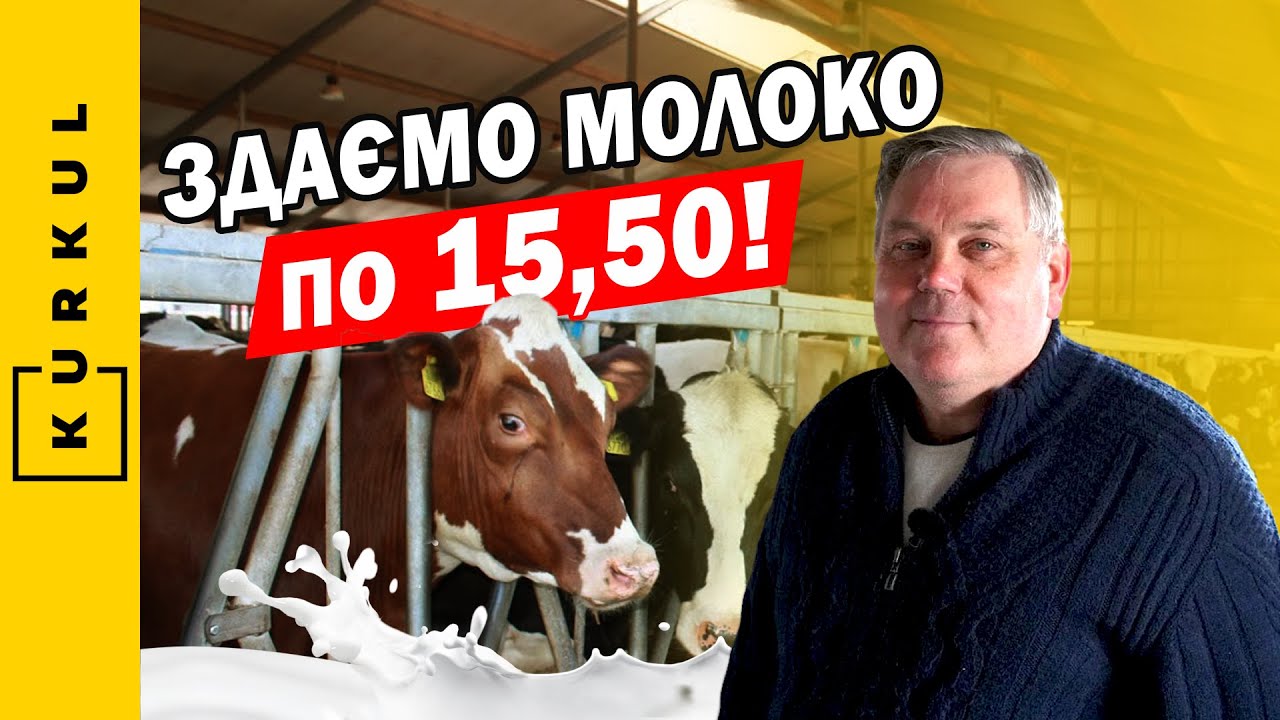 Відмовились від макухи та отримали плюс 60 тис. грн щодня — Годівля корів на СФГ Урожай/Куркуль