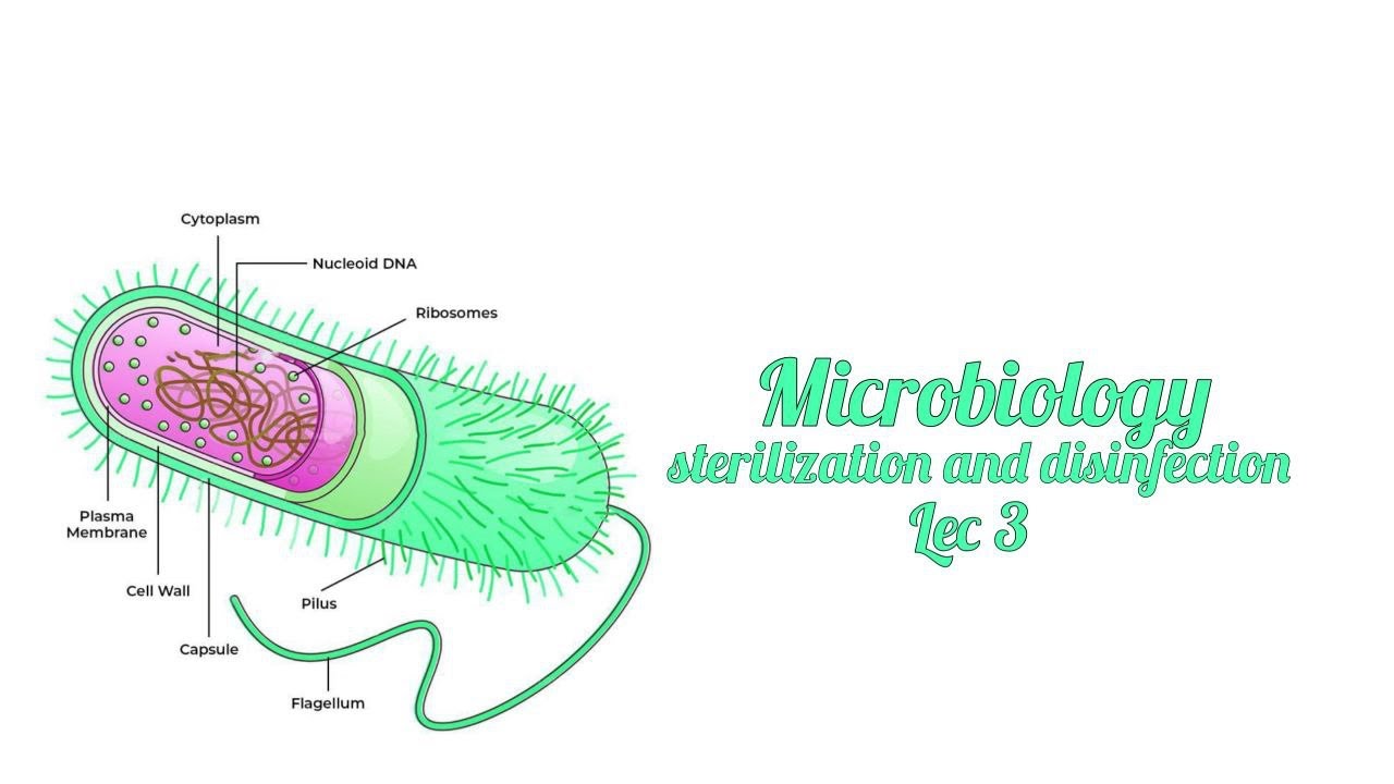 Lec 3 || sterilisation and disinfection || مايكو مرحلة ثالثة