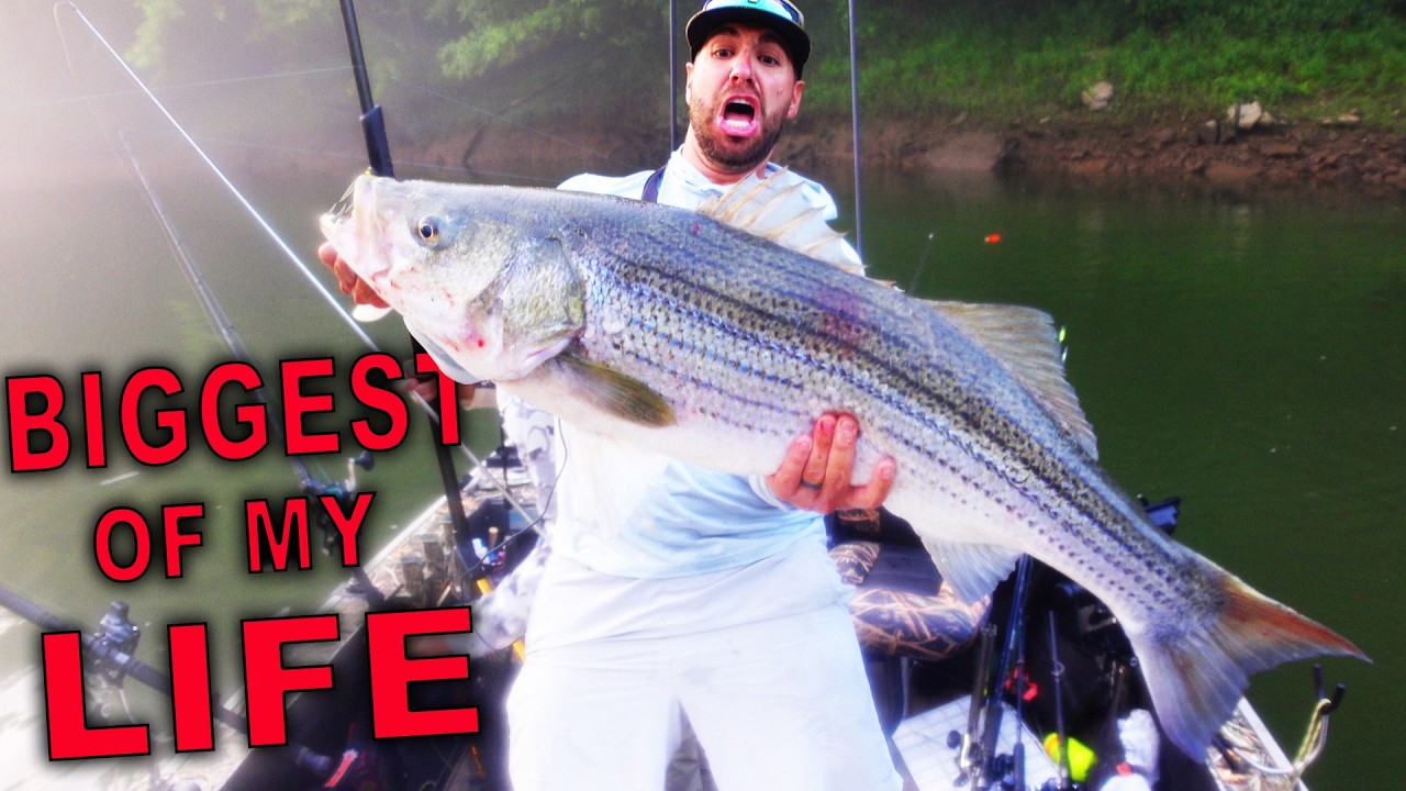 The BEST YOUTUBE Fishing video you’ve EVER SEEN! 