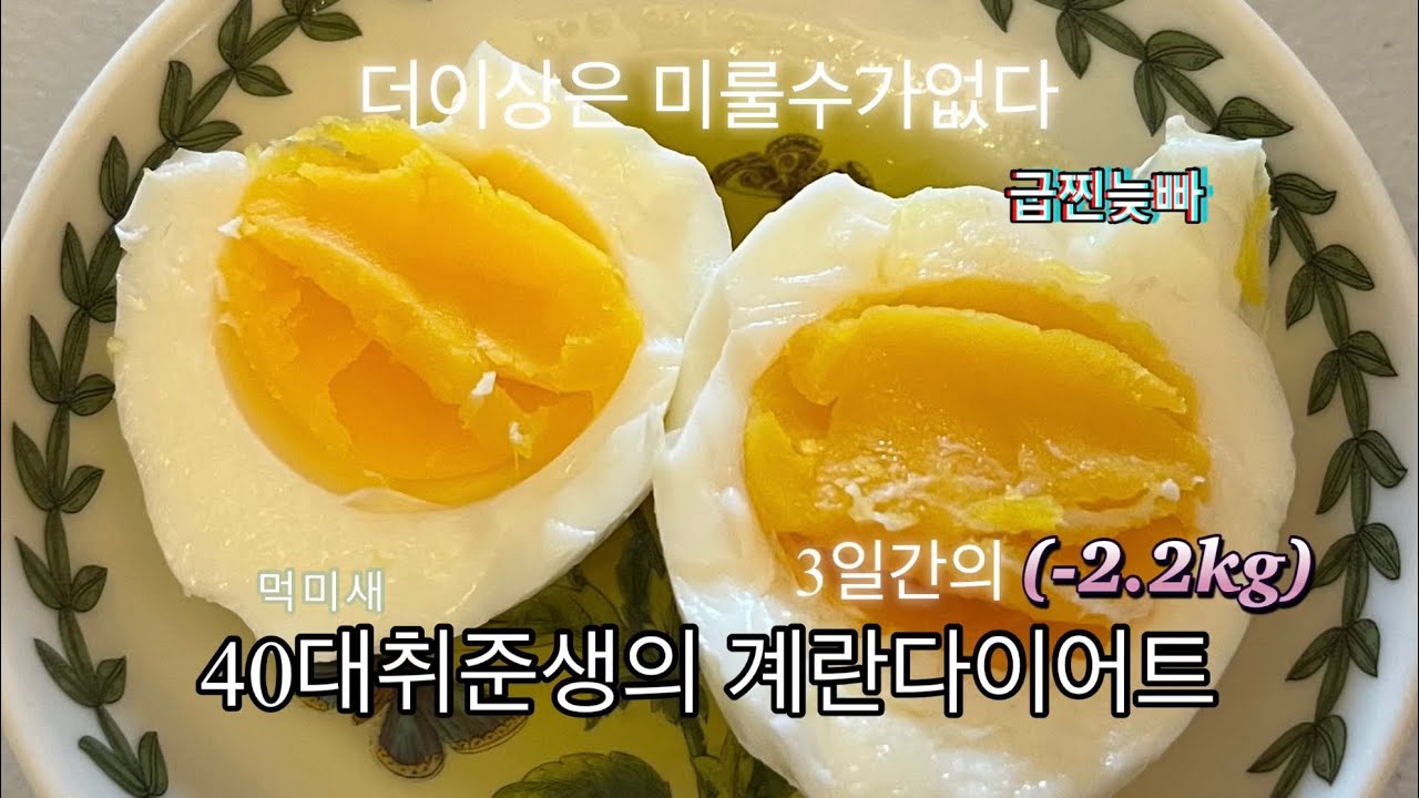 40대 취준생의 3일 계란다이어트 기록 (에그패스팅 아니 걍 계란올리브오일 탕식)