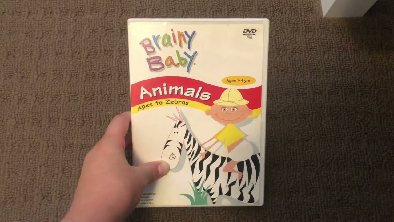 The opening to Brainy Baby - Animals (2003) DVD