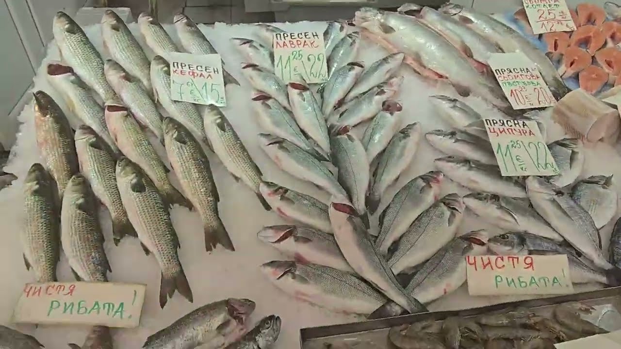 🐟Тайната за чистене на Ципура БЕЗ  хвърчащи люспи?🐟/ How to Clean a Sea Bream (No Mess Strategy!)🐟