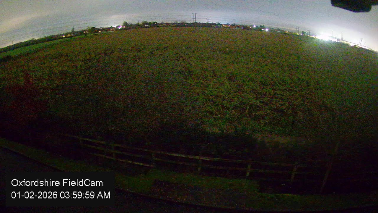 🔴 LIVE Oxfordshire FieldCam - Live Streaming from Oxfordshire, UK