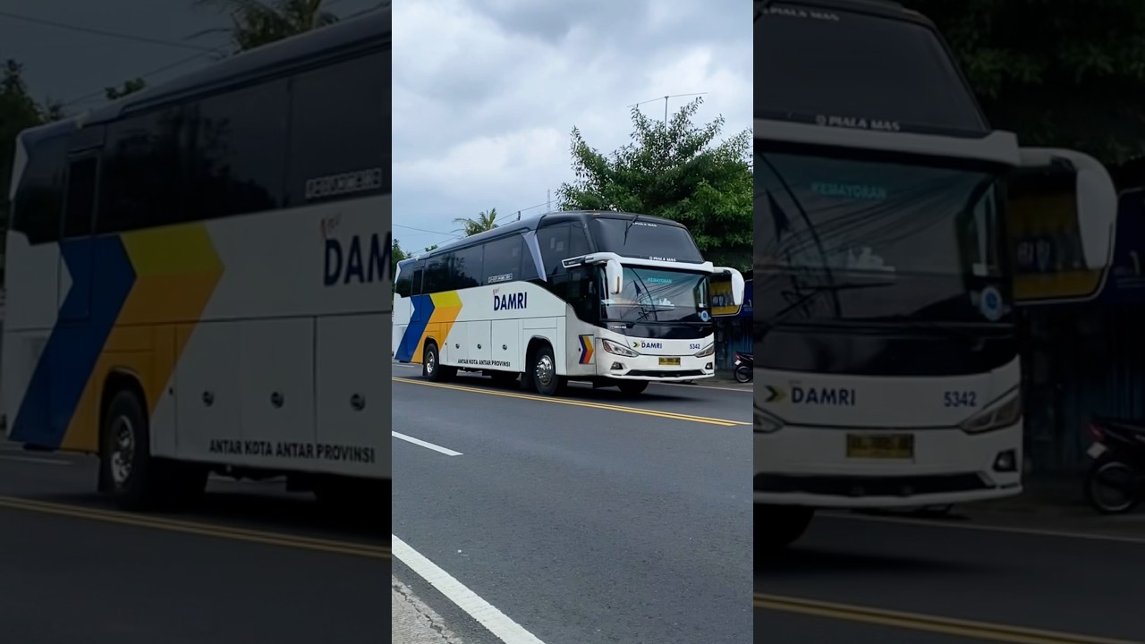 BIG BUS DAMRI MESIN HINO NGEBUT MELAJU CEPAT #shorts #trending #subscribe