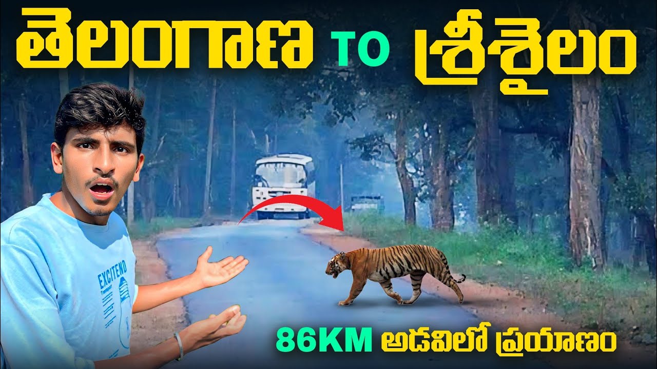 2025లో శ్రీశైలం వెళ్తున్నారా,తెలంగాణ నుంచి శ్రీశైలం వెళ్తున్నాము,85km Dindi to Srisailam 🙏🕉️🕉️